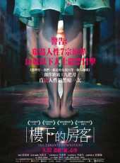 [流言板]波尼特卡：东契奇这种球员每50年才会出现一次